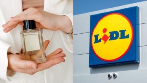 Parfum Lidl Avis