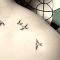 Tatouage hirondelle signification