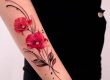 tatouage coquelicot signification
