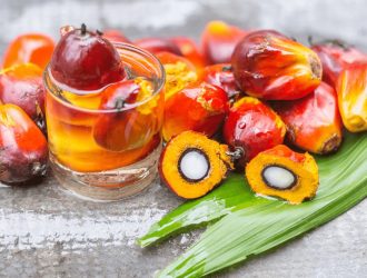 huile-de-batana-avis