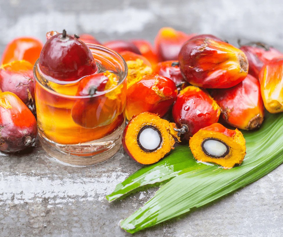 huile-de-batana-avis