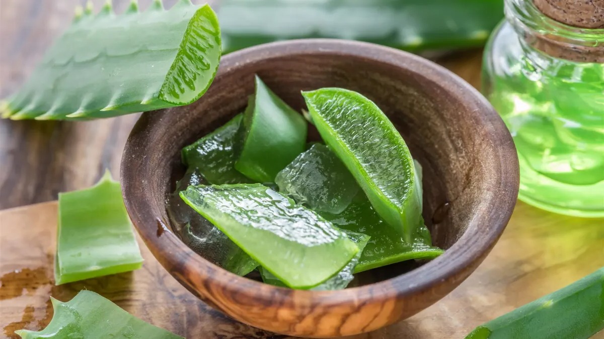 bienfait aloe vera visage