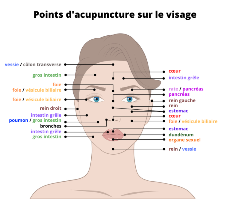 Points D acupuncture Du Visage Guide Et Bienfaits points-d-acupuncture-du-visage-guide-et-bienfaits