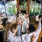 location système sono pour une réception de mariage