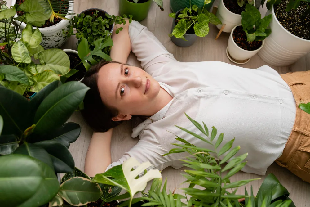 plantes-gerer-periodes-de-stress